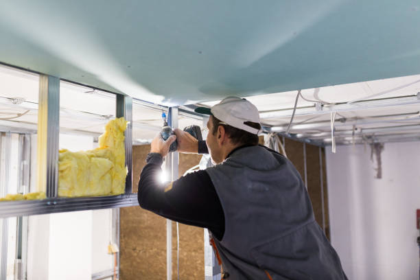 Best Insulation for Specific Applications in St Peters, MO