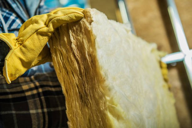 Best Commercial Insulation in St Peters, MO