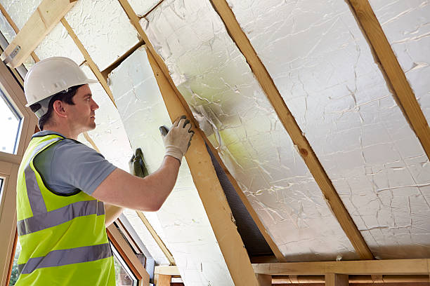 Best Energy Efficiency Solutions in St Peters, MO